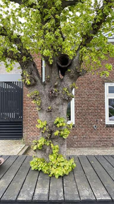 Puur Eastermar - Monumentaal, Authentiek En Luxe Koetshuis Aan Open Vaarwater Met Jacuzzi En Sauna Oostermeer Exteriör bild