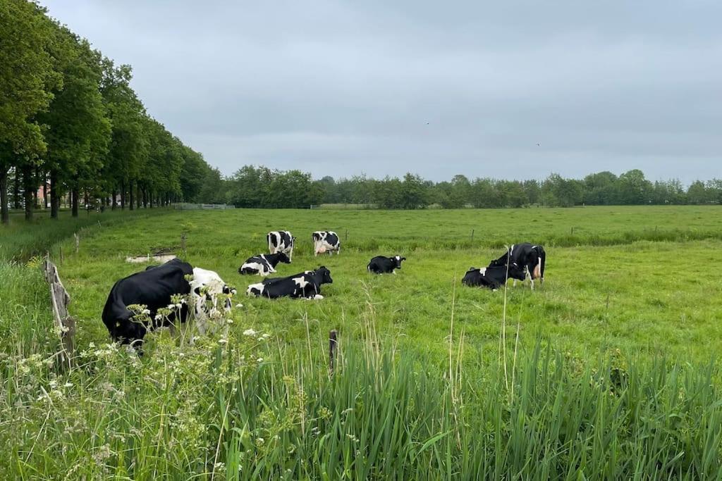 Puur Eastermar - Monumentaal, Authentiek En Luxe Koetshuis Aan Open Vaarwater Met Jacuzzi En Sauna Oostermeer Exteriör bild